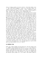 [문화행정] 문화행정의 태동, 목표, 특징과 문화행정의 한계 및 문화행정의 바람직한 위상 그리고 향후 문화행정의 발전 방안 분석-4