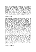[문화행정] 문화행정의 태동, 목표, 특징과 문화행정의 한계 및 문화행정의 바람직한 위상 그리고 향후 문화행정의 발전 방안 분석-5