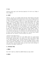 [테마파크] 테마파크의 정의, 특징과 테마파크 사례를 통해 본 테마파크의 진흥 및 테마파크의 관리 방안 분석-4