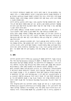 [인터넷마케팅, 인터넷광고] 인터넷마케팅(인터넷광고)의 정의, 방법, 유형과 인터넷마케팅(인터넷광고)의 장단점 및 인터넷마케팅(인터넷광고)의 가격전략, 생존전략, 성공전략 분석-13