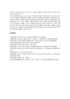 [인터넷마케팅, 인터넷광고] 인터넷마케팅(인터넷광고)의 정의, 방법, 유형과 인터넷마케팅(인터넷광고)의 장단점 및 인터넷마케팅(인터넷광고)의 가격전략, 생존전략, 성공전략 분석-14