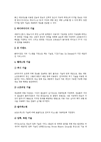 [인터넷방송] 인터넷방송의 역사, 특징, 유형, 공중파방송과의 비교와 인터넷방송의 문제점 및 인터넷방송의 활용전략, 전망, 기대 효과 분석-8