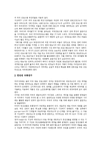 [방송환경, 방송정책] 방송, 방송환경, 방송시장, 방송정책, 방송산업, 방송프로그램의 개념, 변화, 특징과 문제점 및 향후 방향 분석-11