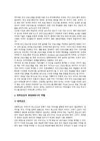 [방송영상정책, 방송영상산업] 방송영상산업, 방송영상정책 환경변화에 따른 현황과 방송영상산업, 방송영상정책의 문제점 및 향후 방송영상산업, 방송영상정책의 방향 및 정책 대안 분석-15