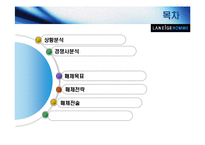 [광고매체] 라네즈 옴므 광고매체기획-2