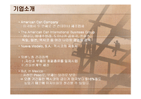 외환론 사례연구(American Can Company)-3
