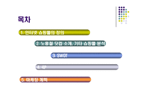 [마케팅] 인터넷 소규모 쇼핑몰의 브랜드 마케팅 전략 -노홍철닷컴-2