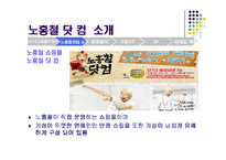 [마케팅] 인터넷 소규모 쇼핑몰의 브랜드 마케팅 전략 -노홍철닷컴-6