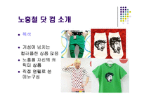 [마케팅] 인터넷 소규모 쇼핑몰의 브랜드 마케팅 전략 -노홍철닷컴-7