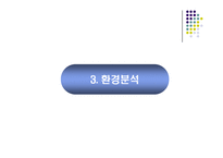 [마케팅] 인터넷 소규모 쇼핑몰의 브랜드 마케팅 전략 -노홍철닷컴-9