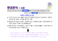 [마케팅] 인터넷 소규모 쇼핑몰의 브랜드 마케팅 전략 -노홍철닷컴-12