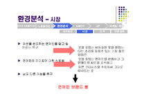 [마케팅] 인터넷 소규모 쇼핑몰의 브랜드 마케팅 전략 -노홍철닷컴-13