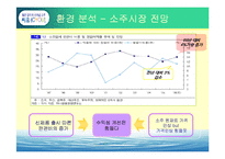 [마케팅] 소주 CYOU 씨유 매출확대를 위한 마케팅전략-9