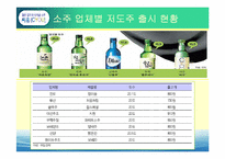 [마케팅] 소주 CYOU 씨유 매출확대를 위한 마케팅전략-12