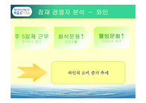 [마케팅] 소주 CYOU 씨유 매출확대를 위한 마케팅전략-19