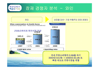 [마케팅] 소주 CYOU 씨유 매출확대를 위한 마케팅전략-20