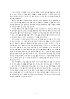 [마케팅] 리바이스 프리미엄진 시장진출 전략-7