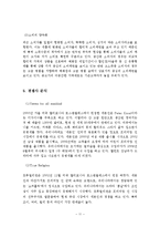 [마케팅] 리바이스 프리미엄진 시장진출 전략-11