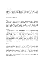 [마케팅] 리바이스 프리미엄진 시장진출 전략-13