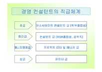 [직업] 컨설팅과 컨설턴트-10