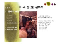 아프리카대륙의 여성 할례-8