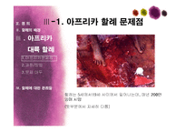 아프리카대륙의 여성 할례-9