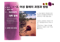 아프리카대륙의 여성 할례-12