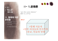 아프리카대륙의 여성 할례-19
