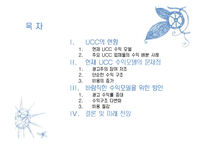 [정보과학개론] UCC 수익모델-2