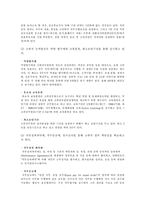 [인사행정론] 고위공무원단 제도-4