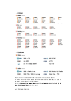 [뉴미디어] 위성 DMB 문제점 및 나갈방향-11
