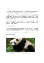 [보전유전학] 멸종위기에 처한 자이언트 팬더 현재-3