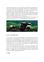 [보전유전학] 멸종위기에 처한 자이언트 팬더 현재-9