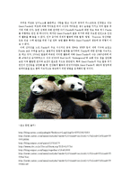 [보전유전학] 멸종위기에 처한 자이언트 팬더 현재-10