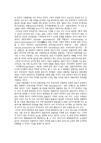 [동아시아경제협력] 동아시아경제협력의 가능성, 형태와 동아시아경제협력모형의 특성, 사례 및 동아시아경제협력의 과제, 발전 방안 분석-6