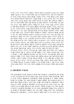 [브랜드자산][브랜드확장][브랜드][브랜드전략][브랜드파워]브랜드자산(브랜드자산의 정의, 특징, 중요성과 브랜드자산 구축) 및 브랜드확장(브랜드확장의 정의, 구성, 장단점과 브랜드확장의 전략 방향) 분석-10
