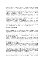 [인터넷][인터넷관련법][인터넷활용][온라인][사이버][가상공간][웹]인터넷의 역사, 인터넷관련법, 인터넷의 시장규모, 인터넷의 활용, 인터넷의 사용현황, 인터넷의 문제점에 따른 인터넷의 향후 발전 방안 분석-9