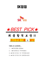 SK임업 면접기출 최신 꿀팁 최종합격 1000대기업 1차 직무면접 2차 임원면접 최종합격자 답안-1