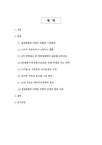 틱톡·유튜브가 키운 K-매운맛 삼양 불닭볶음면의 글로벌 팬덤 마케팅과 현지화 전략 연구-2