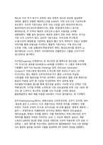 틱톡·유튜브가 키운 K-매운맛 삼양 불닭볶음면의 글로벌 팬덤 마케팅과 현지화 전략 연구-7