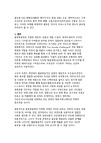 틱톡·유튜브가 키운 K-매운맛 삼양 불닭볶음면의 글로벌 팬덤 마케팅과 현지화 전략 연구-12