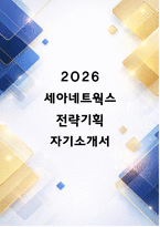 세아네트웍스 자소서-1