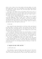 국제인권법3공통 자율살상무기 사용에 대한 국제적 규제방안 관련 조약의 채택 혹은 국제사법재판소의 관련 결정 등에 대해서도 조사하여 정리하라00-6