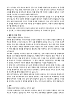 홍익대학교 일반대학원 시각디자인학과 학업계획서-2
