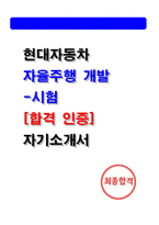 [현대자동차 자소서] 자율주행개발 시험 자기소개서 (2025 최종합격)-1