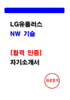 [LG유플러스 자소서] NW기술 최종합격 자기소개서 2026년 채용대비-1