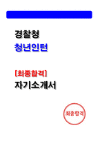 2026 경찰청 청년인턴 최종합격 자기소개서 (2025 합격 자소서) 체험형인턴-1