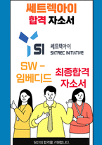 쎄트렉아이 25년도 최종합격자소서 [최신극비자료]-1