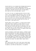 에너지 전환과 그린 인플레이션 - 탄소중립 정책이 물가와 성장에 미치는 단기·장기 효과-13