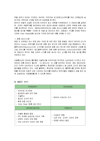 [마케팅] BMW의 국내시장진출 마케팅전략-6